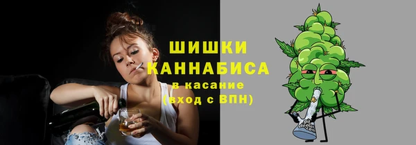 прущие грибы Алзамай