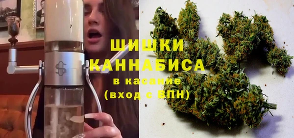 прущие грибы Алзамай