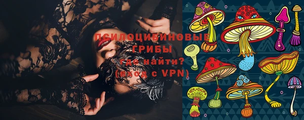 прущие грибы Алзамай